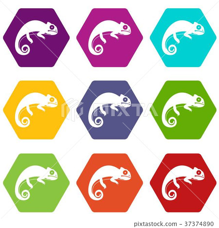 Chameleon icon set color hexahedron Chameleon icon set color hexahedron 37374890