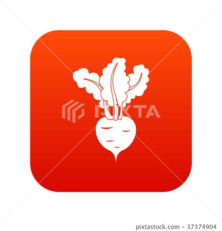 Fresh beetroot icon digital red Fresh beetroot icon digital red 37374904