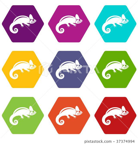 Chameleon icon set color hexahedron 37374994