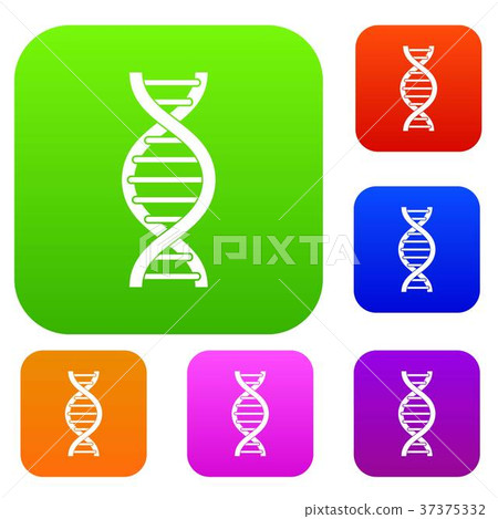 DNA spiral set color collection DNA spiral set color collection 37375332