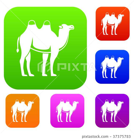 Camel set color collection Camel set color collection 37375783