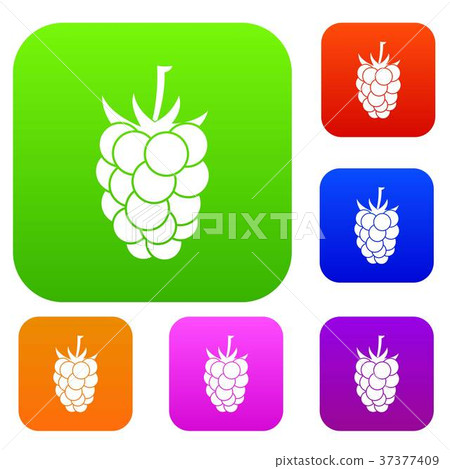 Blackberry fruit set color collection 37377409