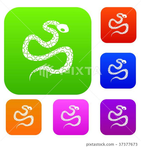 Python snake set color collection Python snake set color collection 37377673