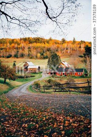 Autumn leaves of Vermont 37378189