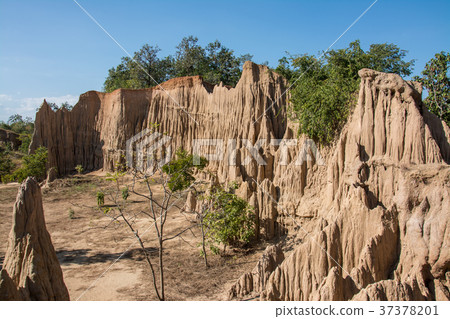 Sao Din Na Noi or Hom Chom and Khok Suea,  37378201