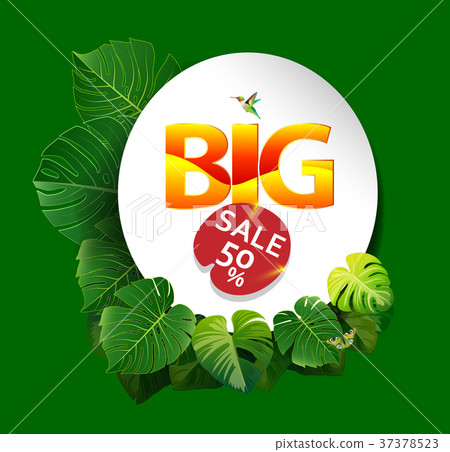 summer tropical green leaf background on big sale. summer tropical green leaf background on big sale. 37378523