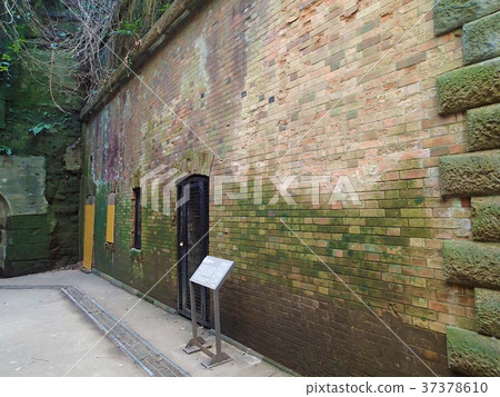 神奈川縣橫須賀市Sarushima 37378610