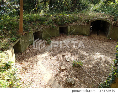 神奈川縣橫須賀市Sarushima 37378619