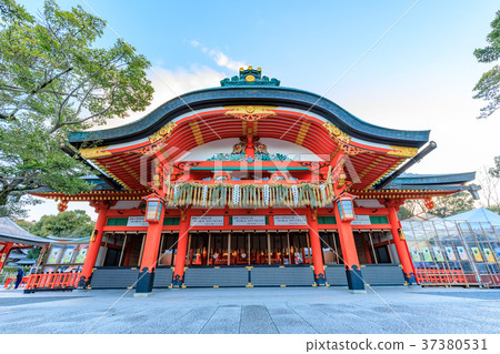 京都伏見稻荷大社神殿 37380531