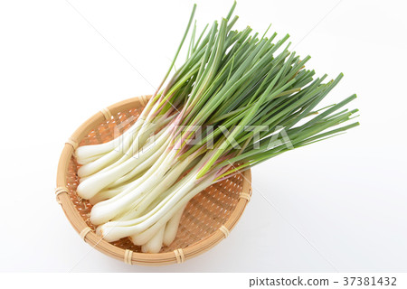 新鮮蔬菜 37381432