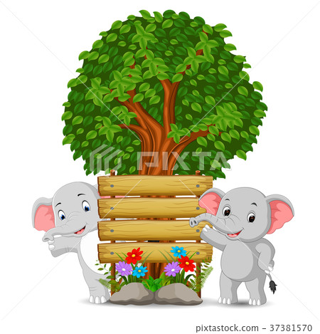 two elephant in front of an empty wooden signboard 37381570