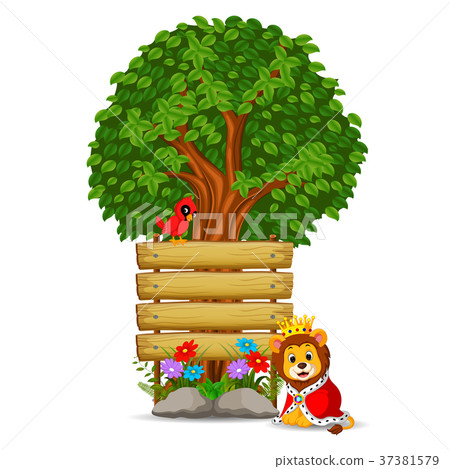lion in front of an empty wooden signboard 37381579