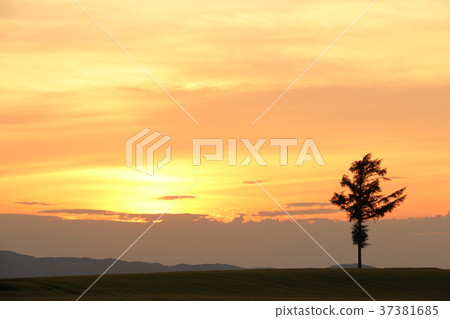 Earth of dusk of Hokkaido Earth of dusk of Hokkaido 37381685