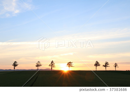 Hokkaido Blue sky and earth of the setting sun Hokkaido Blue sky and earth of the setting sun 37381686