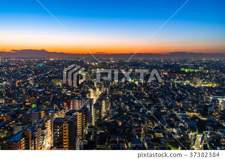 《東京》世田谷區/床町夜景 37382384