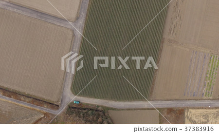 Winter fields (Yorii Town, Osato-gun, Saitama Prefecture) Winter fields (Yorii Town, Osato-gun, Saitama Prefecture) 37383916