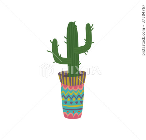 Cactus in a colorful pot with Mexican ornament Cactus in a colorful pot with Mexican ornament 37384767