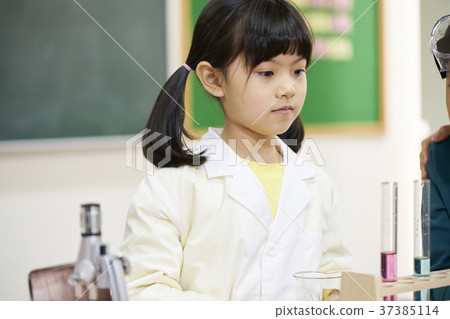 Elementary students, children, Koreans 37385114