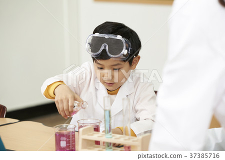 Elementary students, children, Koreans 37385716