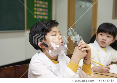Elementary students, children, Koreans 37385812