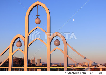 在早晨的陽光下染上橙色的Kitajuku Ohashi Minuma稻田 37386305