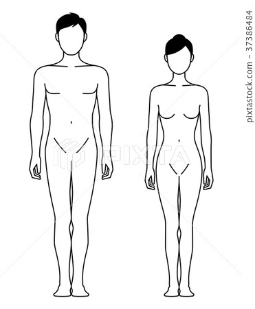 Body of a man and woman facing forward (line drawing) 37386484