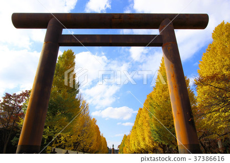 靖國神社 靖國神社 37386616