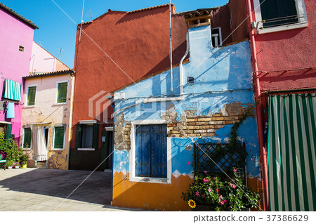 Colorful houses in Burano island , Italy 37386629