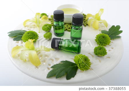 Esthetic image 37388055