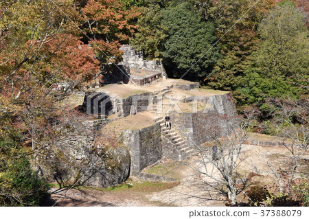 Naegi城堡跟踪Oyagura踪影 Naegi城堡跟踪Oyagura踪影 37388079