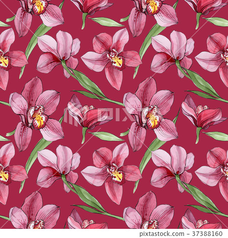 Wildflower orchid flower pattern in a watercolor Wildflower orchid flower pattern in a watercolor 37388160