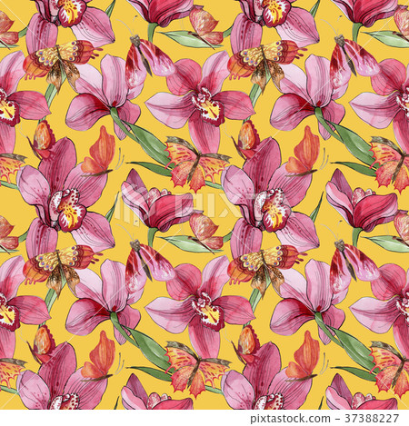 Wildflower orchid flower pattern in a watercolor 37388227