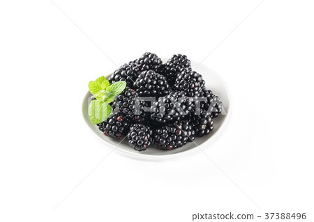 黑莓 37388496