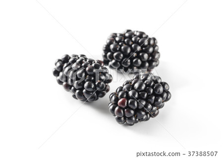 Blackberry  37388507