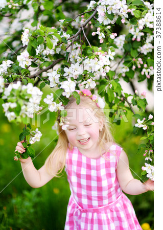 Adorable little girl in blooming apple tree garden 37388614