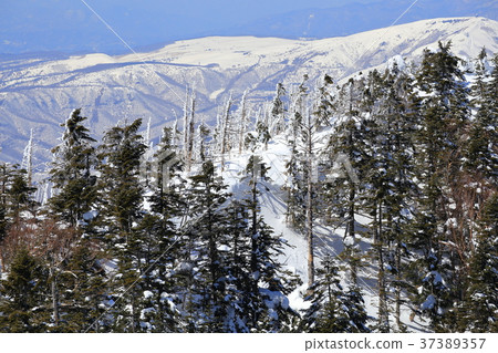 西北八岳從Kitayokodake的南峰頂看西側 37389357