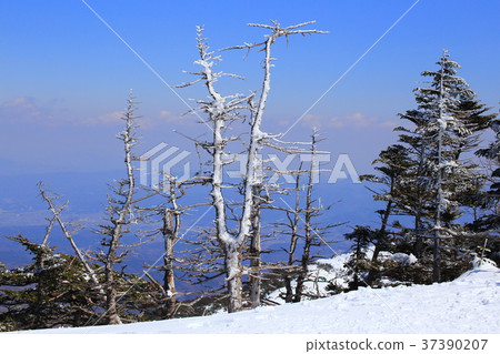 Kitayatsugatake的Kitayokodake(北峰)的冰 Kitayatsugatake的Kitayokodake(北峰)的冰 37390207