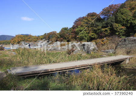 Autumn leaves of Nagasu valley (Iroha swamp) 37390240