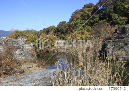 Autumn leaves of Nagasu valley (Iroha swamp) 37390242