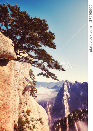 Scenic view from the Mount Hua, China. Scenic view from the Mount Hua, China. 37390603