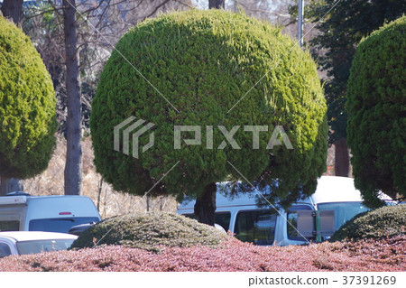 Zoom in to your head 37391269