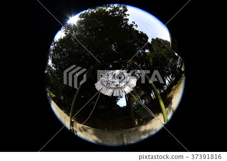 千葉縣白井市八幡神社 千葉縣白井市八幡神社 37391816
