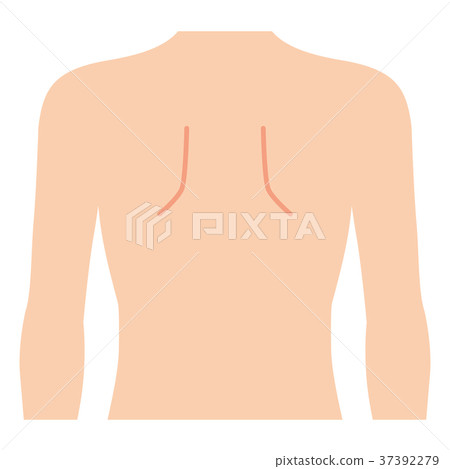 Male's back (no main line) - Stock Illustration [37392279] - PIXTA