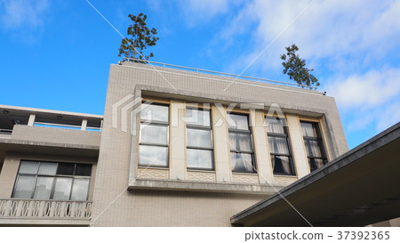 Former Osaka City Hall 37392365