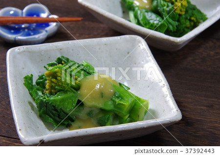 油菜味的辣味噌醬 37392443