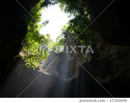 Light Cave 37392649
