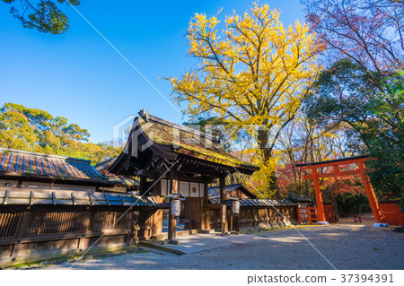京都秋天Kawai寺廟 37394391