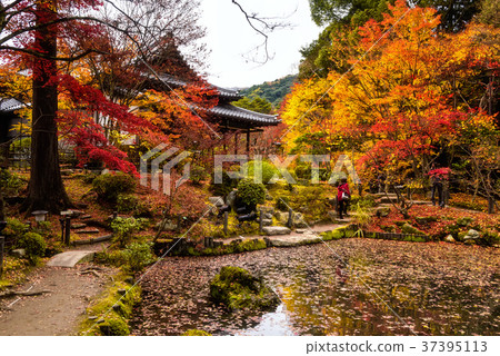 Autumn colors at Tenjuan Temple, Kyoto 37395113