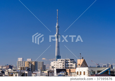 <<Tokyo>> A refreshing morning view of the Sky Tree 37395676