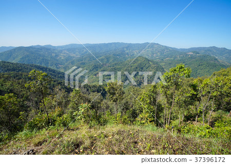 Nature view mountain, forest and blue sky 37396172